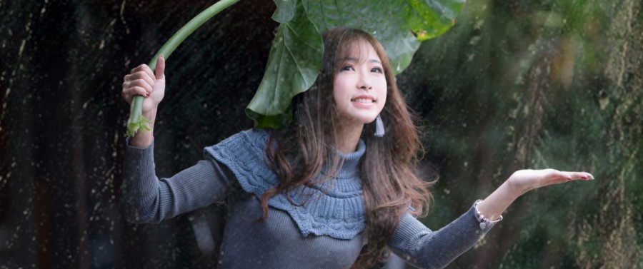 视频号带货，下一个风口？